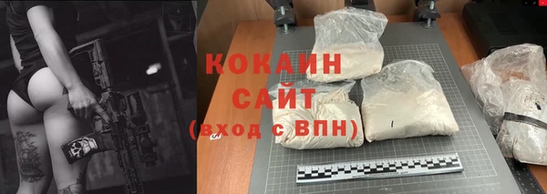 дживик Белокуриха