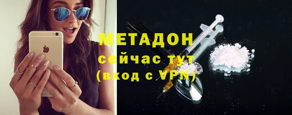 дмт Богданович