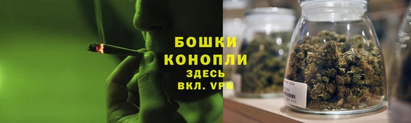 дмт Богданович