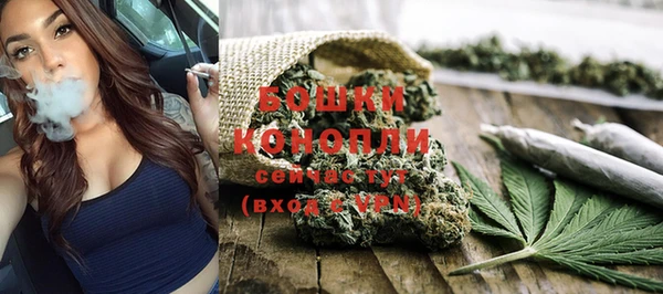 дживик Белокуриха