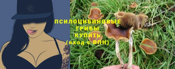 мяу мяу мука Беломорск