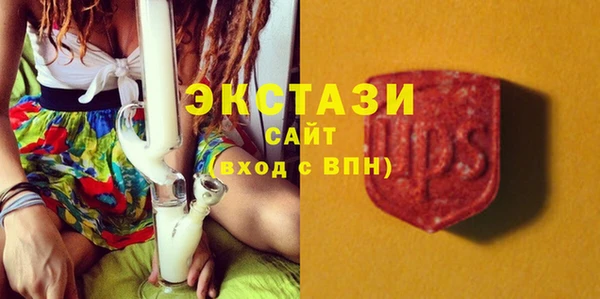 дмт Богданович