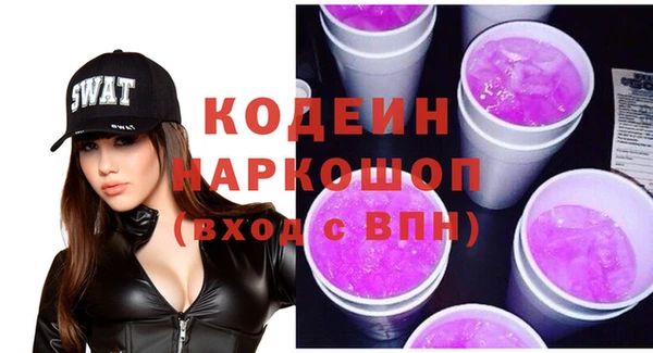 дмт Богданович