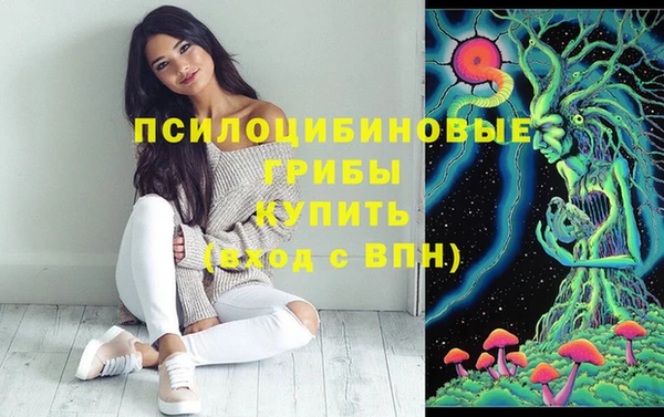 дживик Белокуриха
