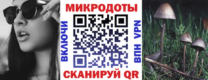 Галлюциногенные грибы MAGIC MUSHROOMS где продают Бузулук